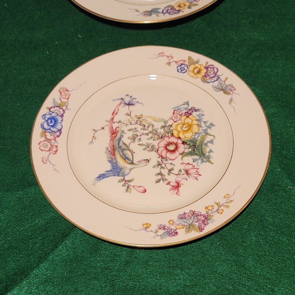 Rosen thale Phoenix dinner plate